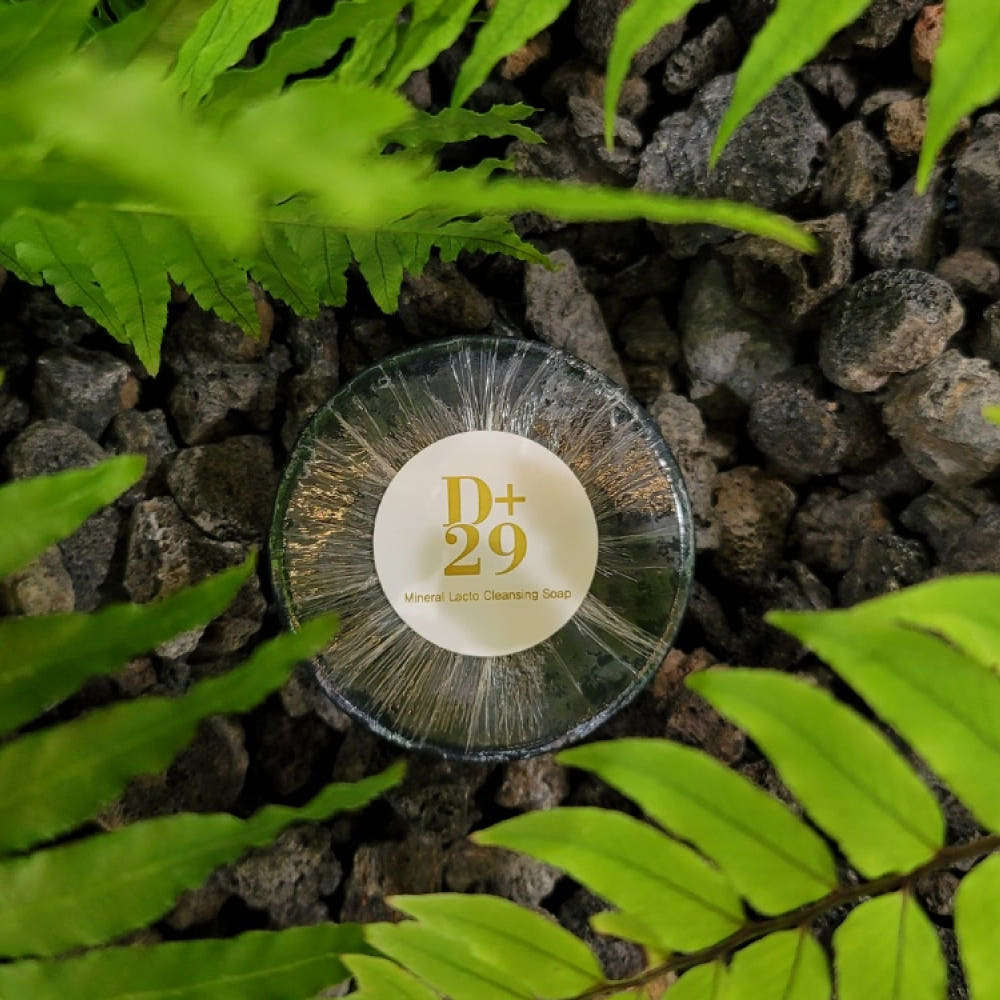 D+29 미네랄 클렌징 솝